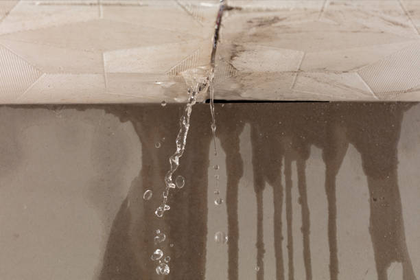 Professional Structural Drying technician working in Erie, PA